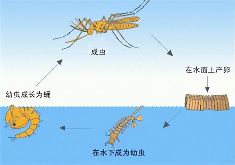 符合過(guò)程.jpg